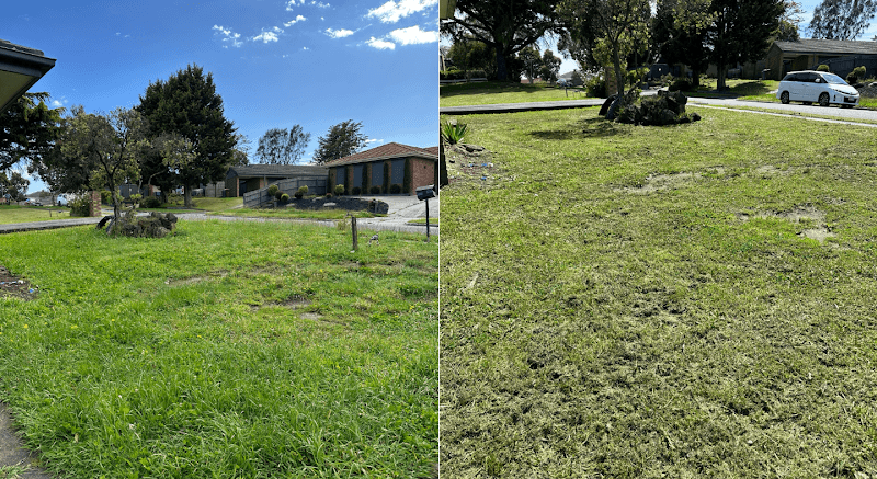 Baaa Lawn and Gardening Services gardening work in Dandenong