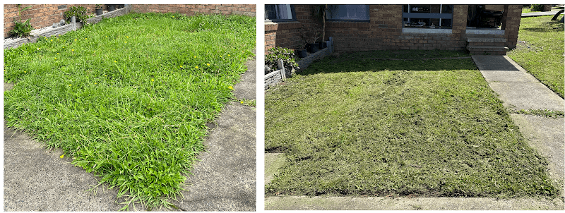 Baaa Lawn and Gardening Services gardening work in Dandenong