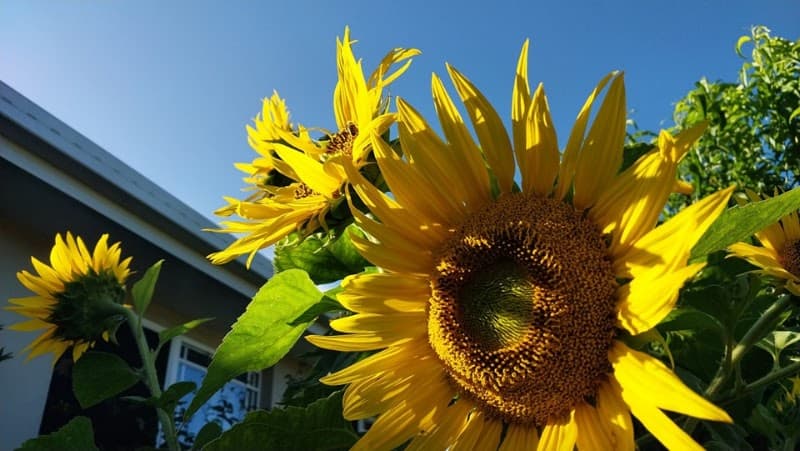 Back2Nature Gardening Services - Port Macquarie landscaping work in Port Macquarie