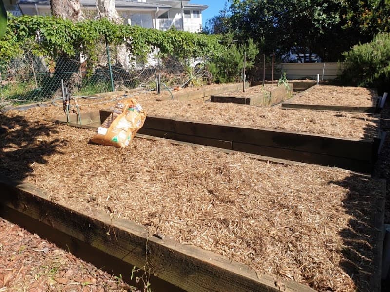 Back2Nature Gardening Services - Port Macquarie landscaping work in Port Macquarie