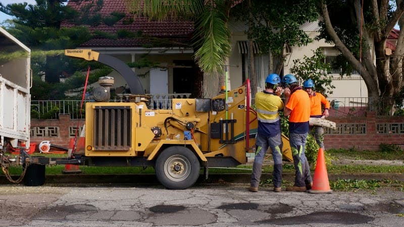 Balanced Tree Care tree services work in Cooks Hill