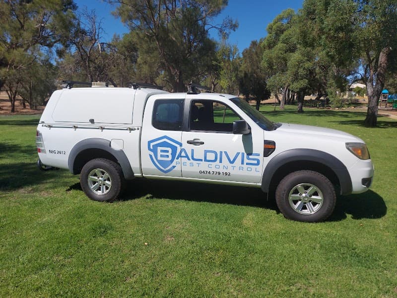 BALDIVIS PEST CONTROL pest control work in null