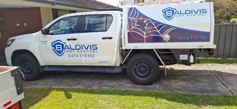 BALDIVIS PEST CONTROL pest control work in null