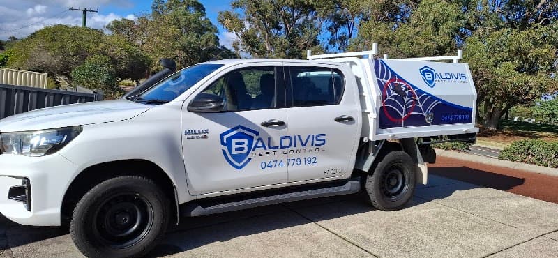 BALDIVIS PEST CONTROL pest control work in null