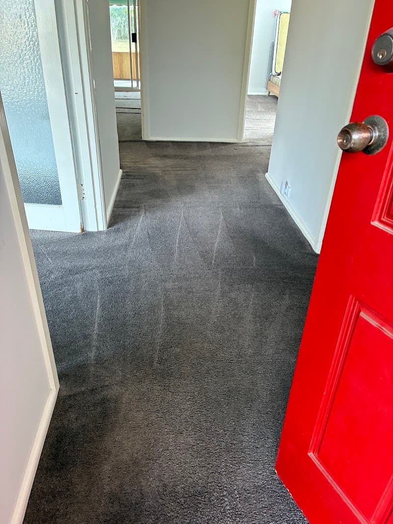 Ballarat Carpet Cleaning carpet cleaning work in Cardigan