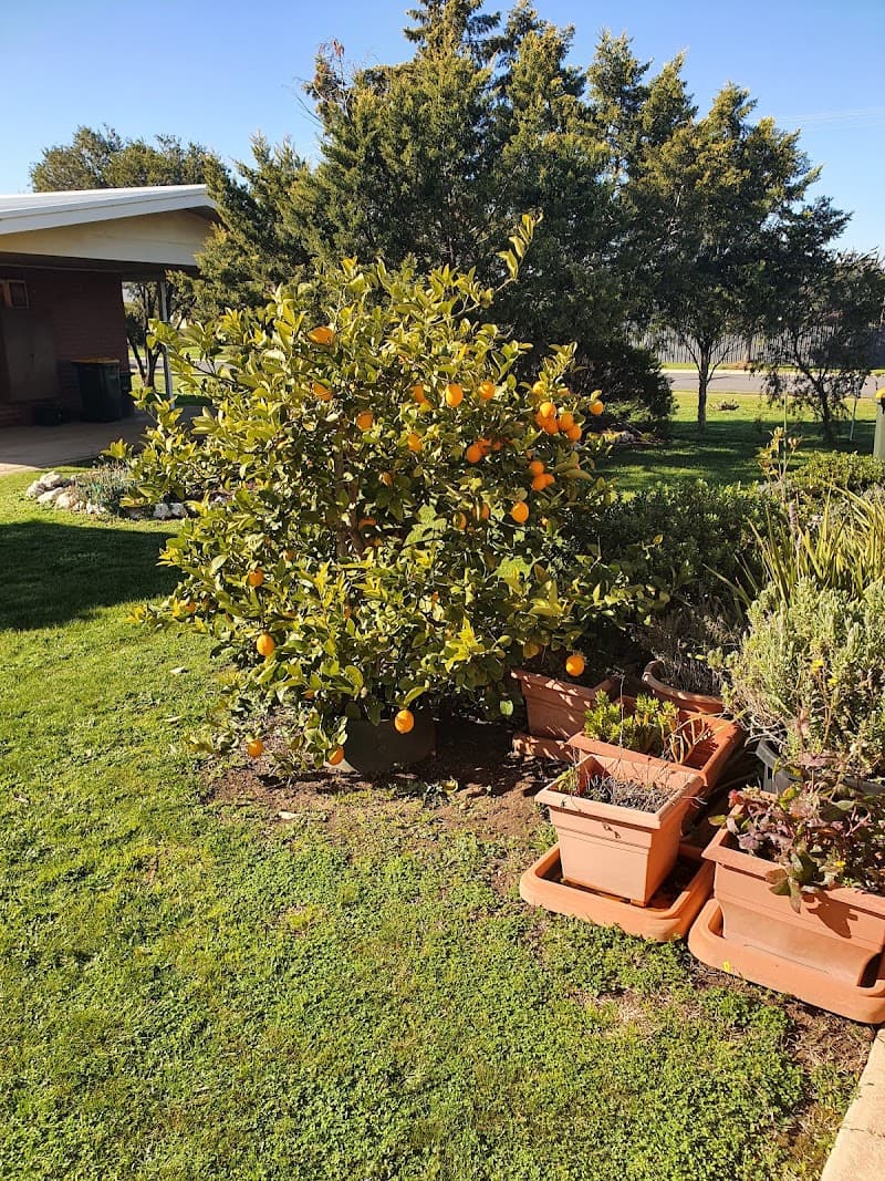 Ballarat Mower Guys landscaping work in Sebastopol