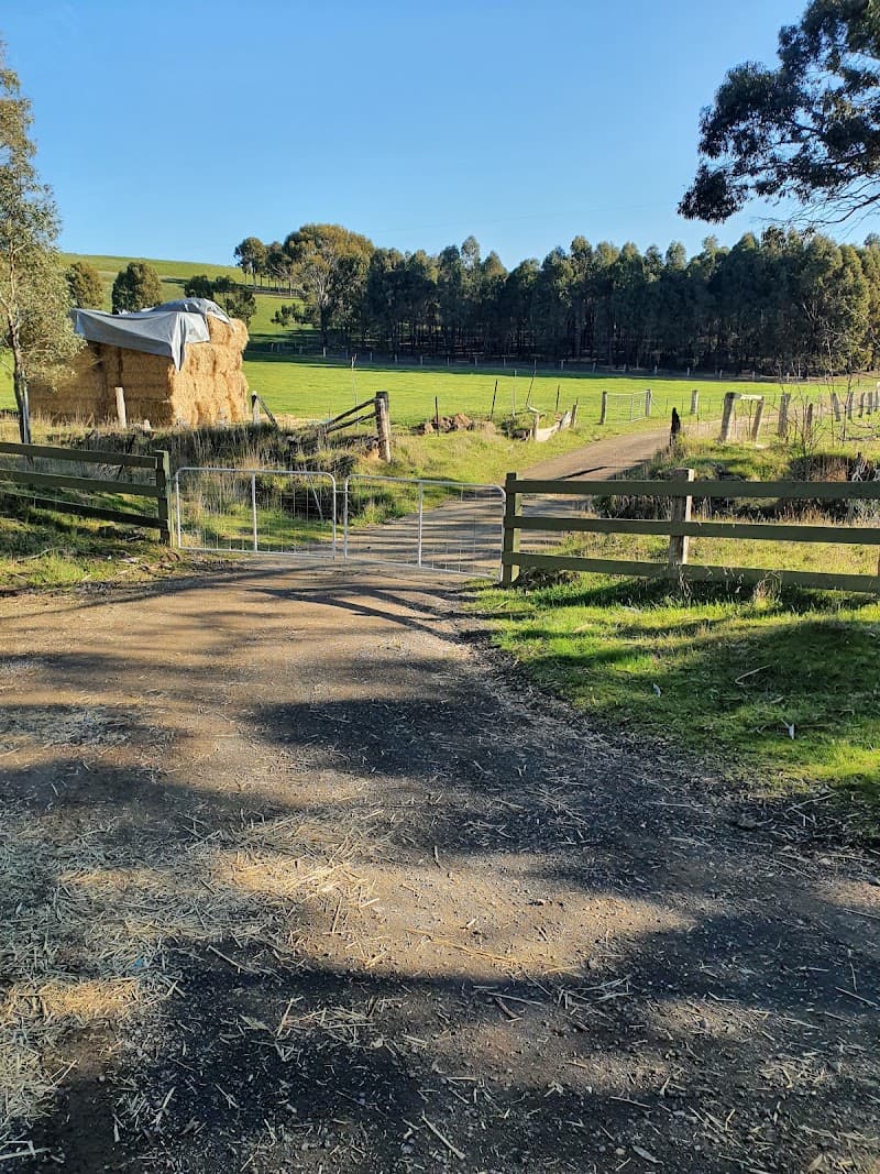 Ballarat Mower Guys landscaping work in Sebastopol