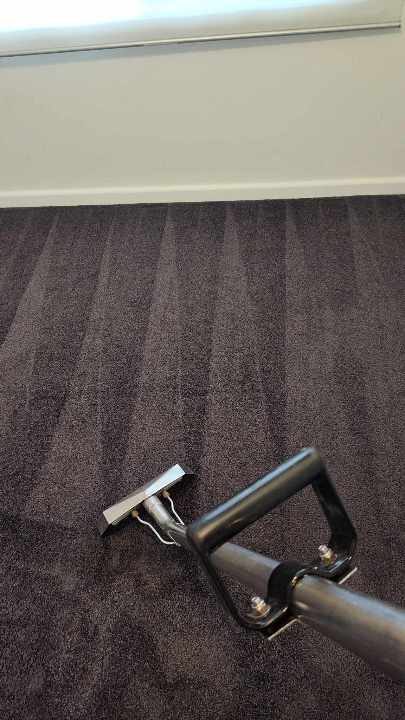 Ballarat Total Carpet Cleaning carpet cleaning work in Mount Pleasant