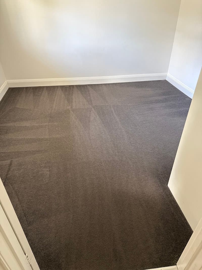 Ballarat Total Carpet Cleaning carpet cleaning work in Mount Pleasant