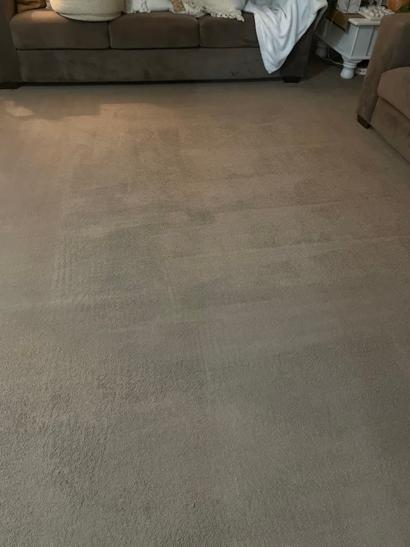 Ballarat Total Carpet Cleaning carpet cleaning work in Mount Pleasant