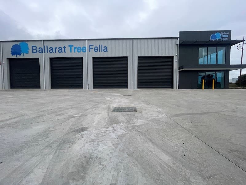 Ballarat Tree Fella tree services work in Delacombe