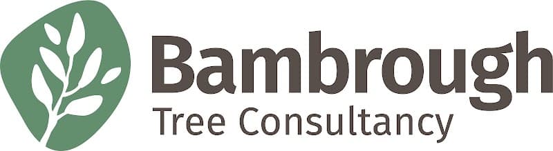 Bambrough Tree Consultancy tree services work in Mandurang