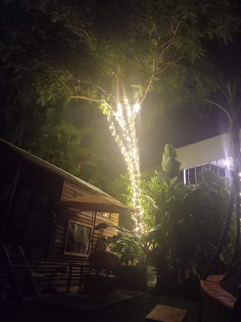 Bardon Trees tree services work in Paddington