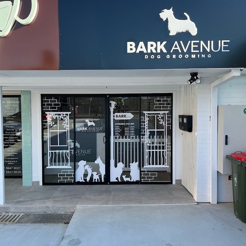 Bark Avenue Dog Grooming dog grooming work in Camp Hill