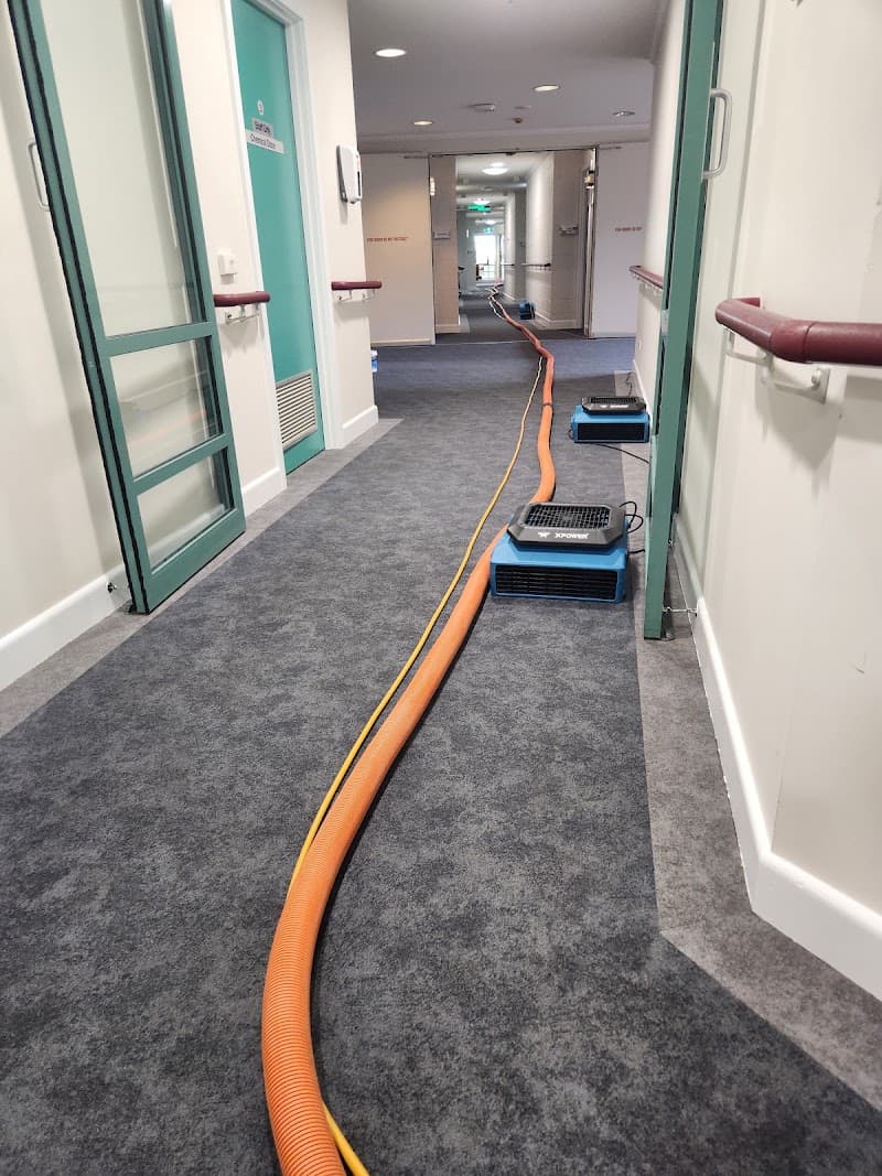 Barker's Carpet Cleaning & end of lease pest control carpet cleaning work in Shorewell Park
