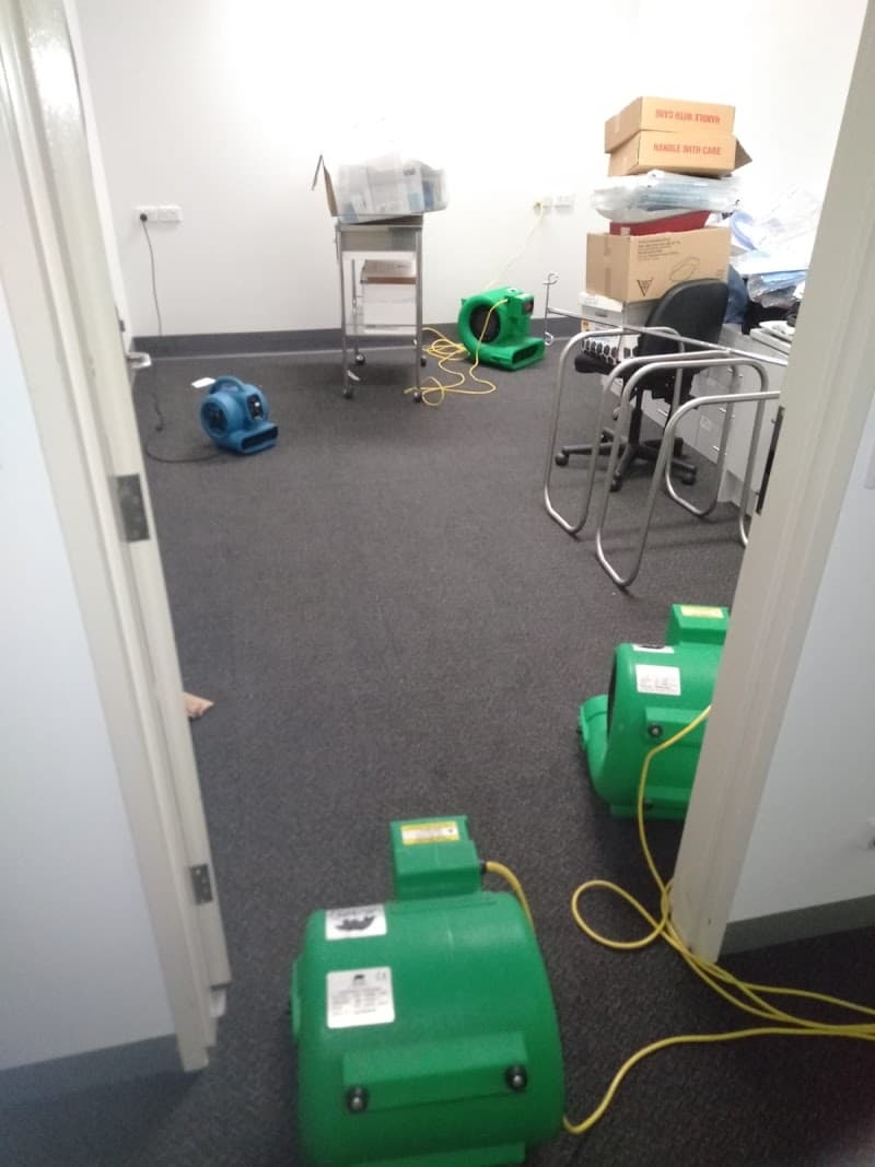 Barwon Carpet Cleaning carpet cleaning work in Geelong