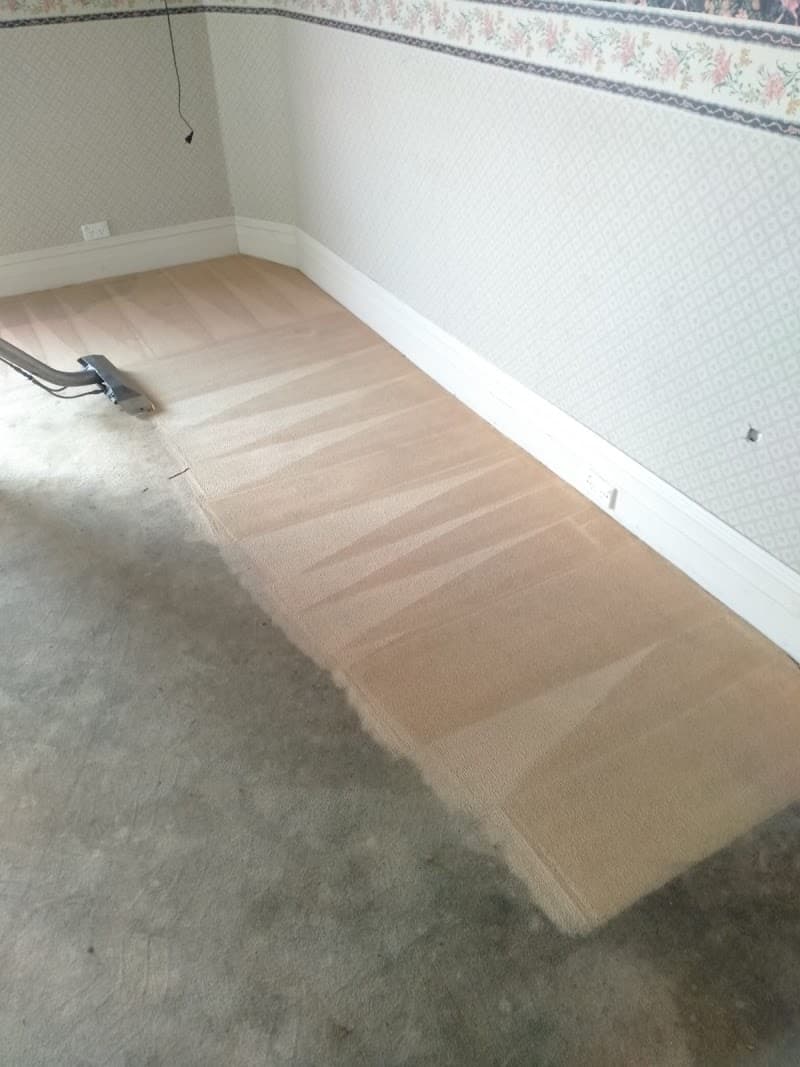Barwon Carpet Cleaning carpet cleaning work in Geelong