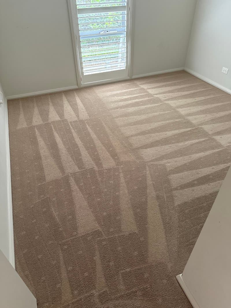 Barwon Carpet Cleaning carpet cleaning work in Geelong