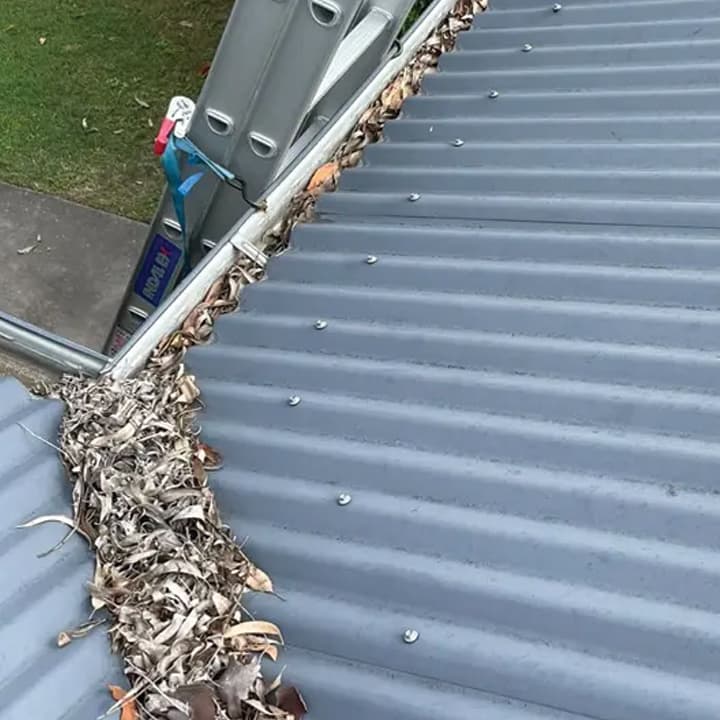 Bayside Gutter Cleaning Brisbane gutter cleaning work in Manly West