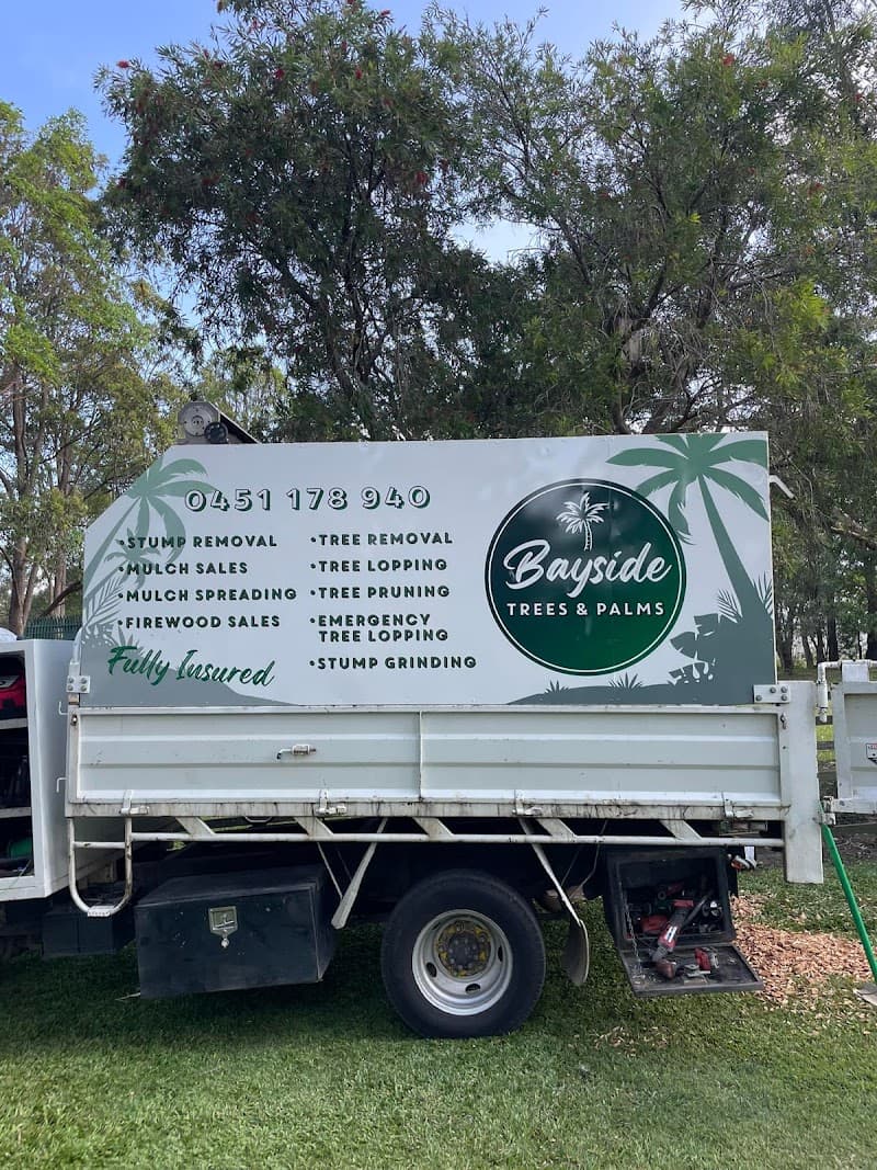 Bayside Trees & Palms tree services work in Thornlands