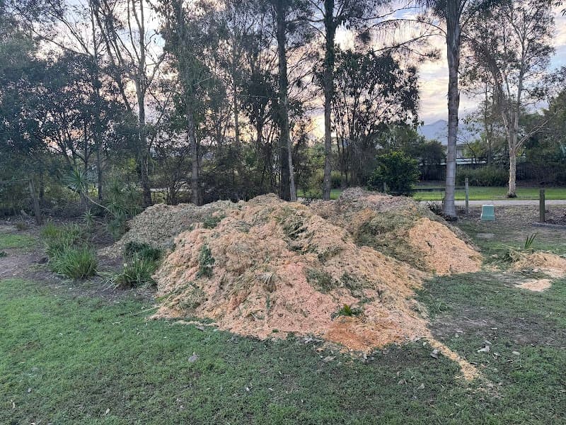 Bayside Trees & Palms tree services work in Thornlands