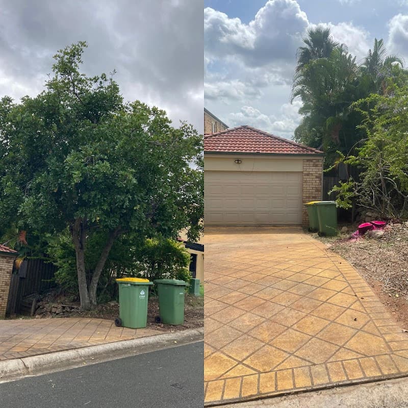 Bayside Trees & Palms tree services work in Thornlands