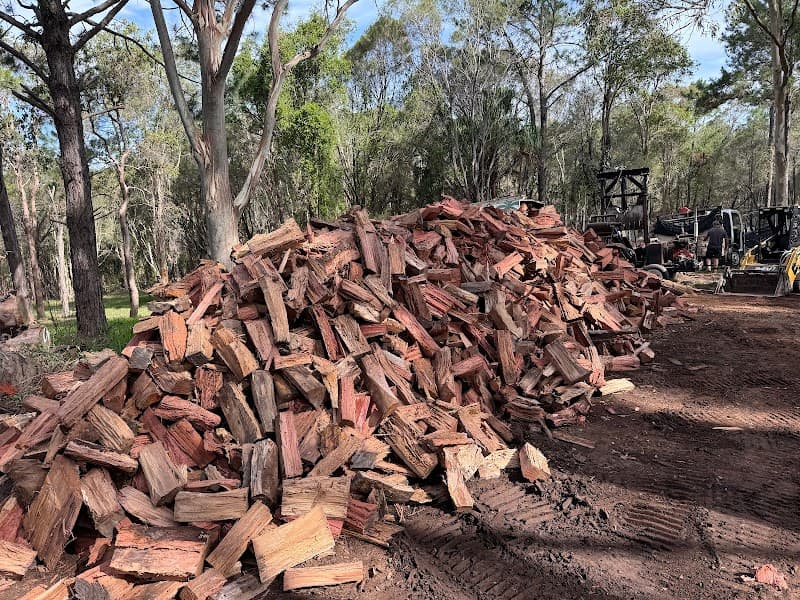 Bayside Trees & Palms tree services work in Thornlands