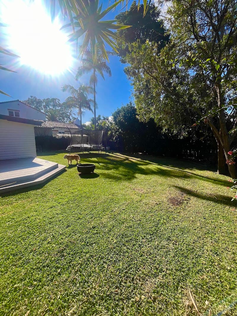 Beaches Backyard Maintenance gardening work in Avalon Beach