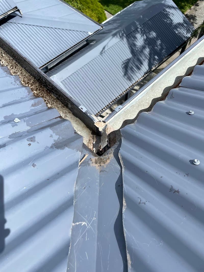 Beaches Gutter Clean gutter cleaning work in Whale Beach