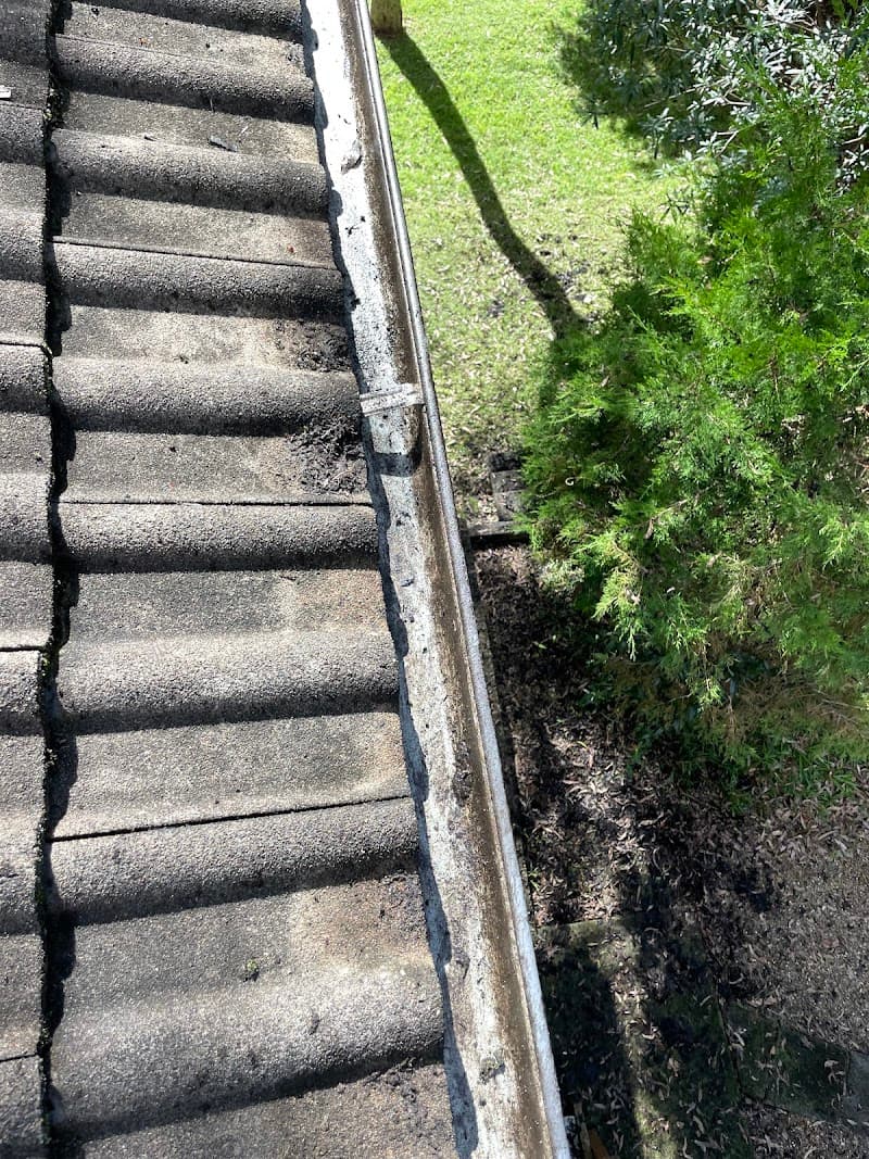 Beaches Gutter Clean gutter cleaning work in Whale Beach