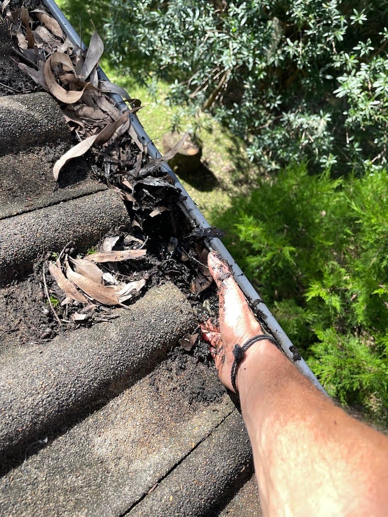 Beaches Gutter Clean gutter cleaning work in Whale Beach