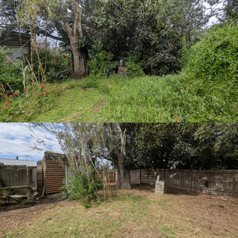 Beard & Bone Maintenance fencing work in Seaford