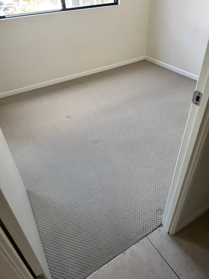 Bee Clean NQ carpet cleaning work in Mount Louisa