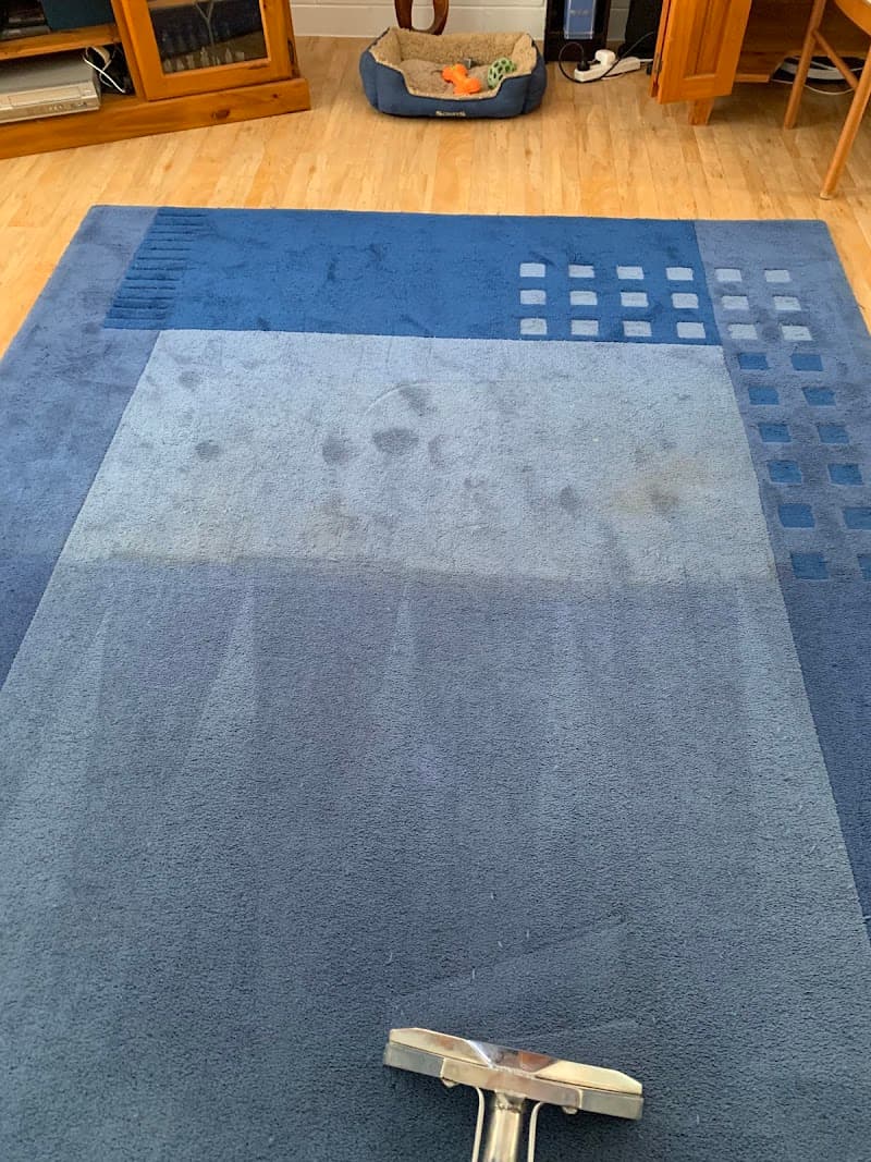Bee Clean NQ carpet cleaning work in Mount Louisa