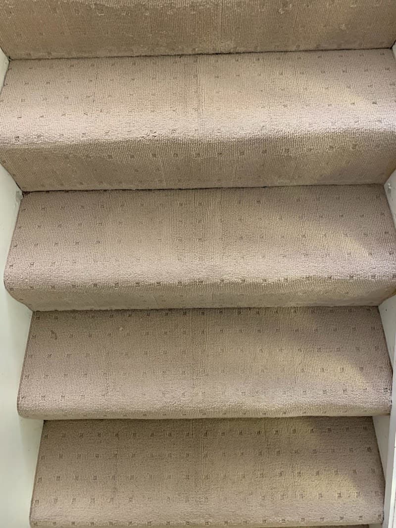 Bee Clean NQ carpet cleaning work in Mount Louisa
