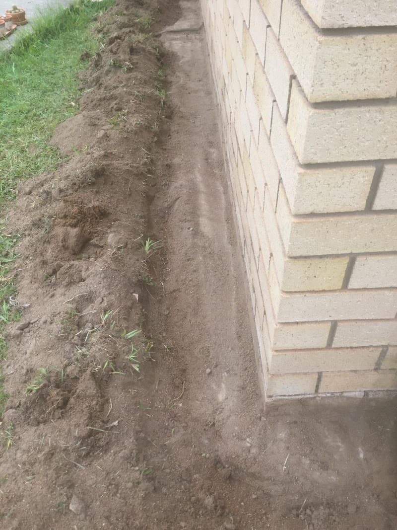 Bee Humble Pest Management - formerly Moreton Bay Region Pest Management pest control work in Caboolture