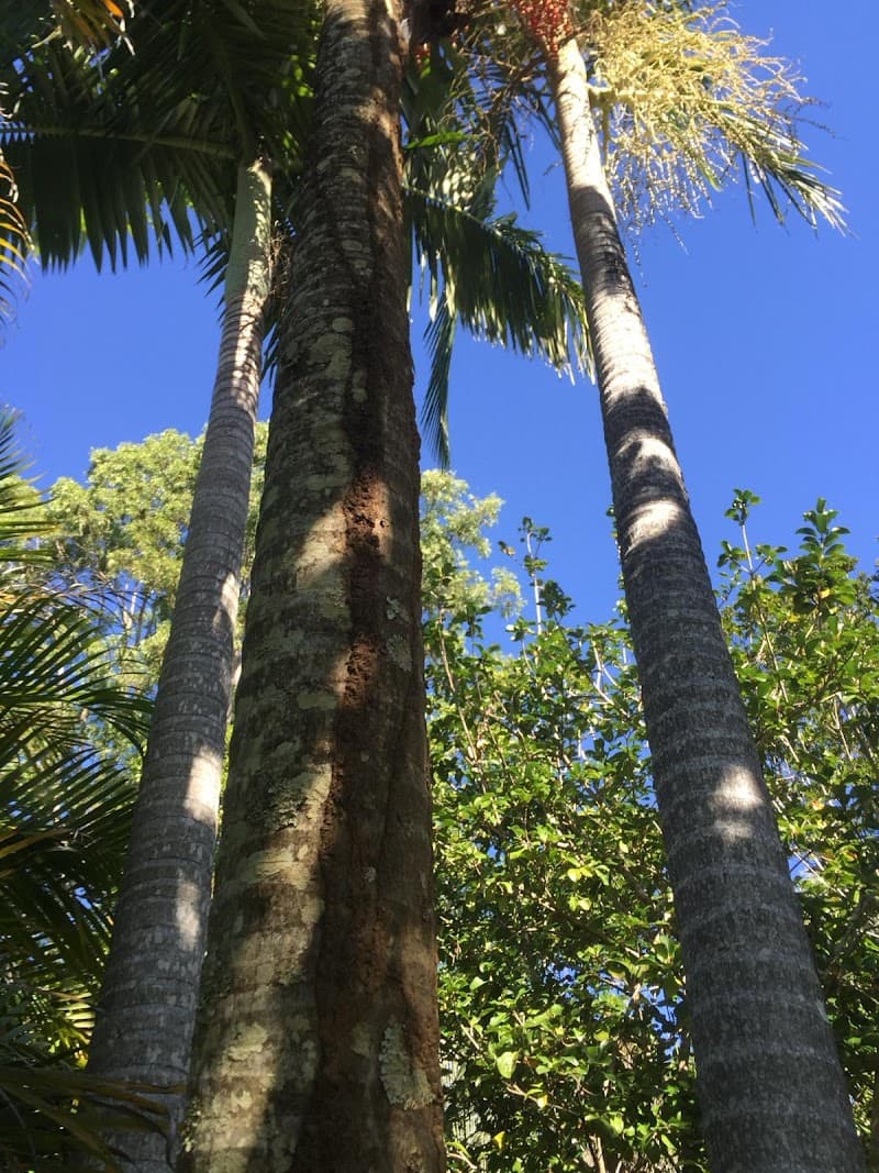 Bee Humble Pest Management - formerly Moreton Bay Region Pest Management pest control work in Caboolture