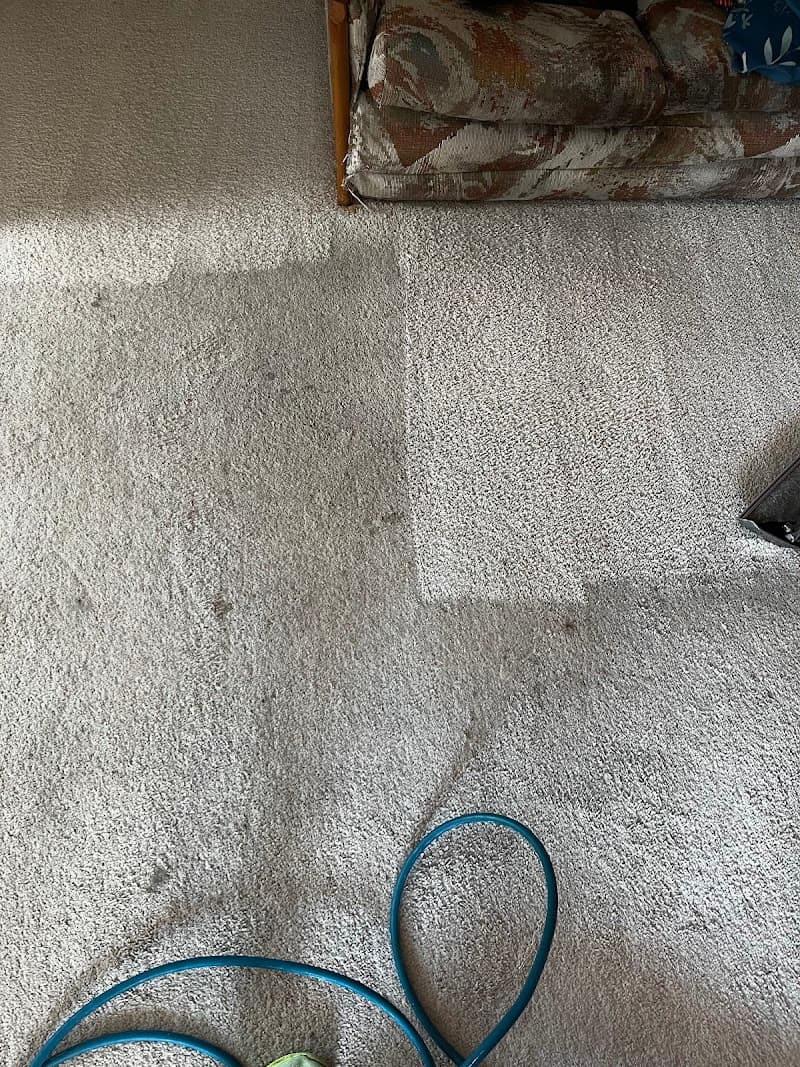Bellamy's Carpet Cleaning & Pest Control carpet cleaning work in Thornlands