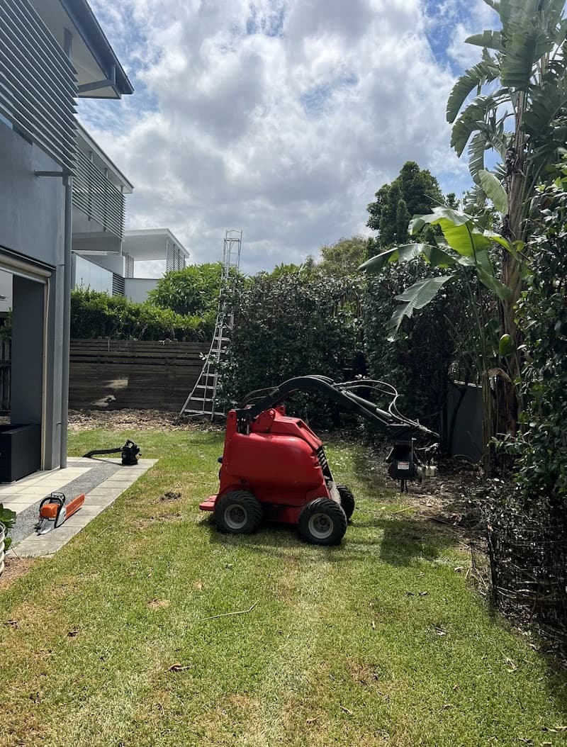 Bellamy's Gardens gardening work in Kangaroo Point
