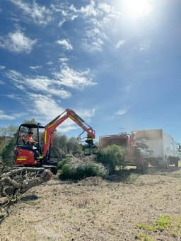 Bellarine Tree Services