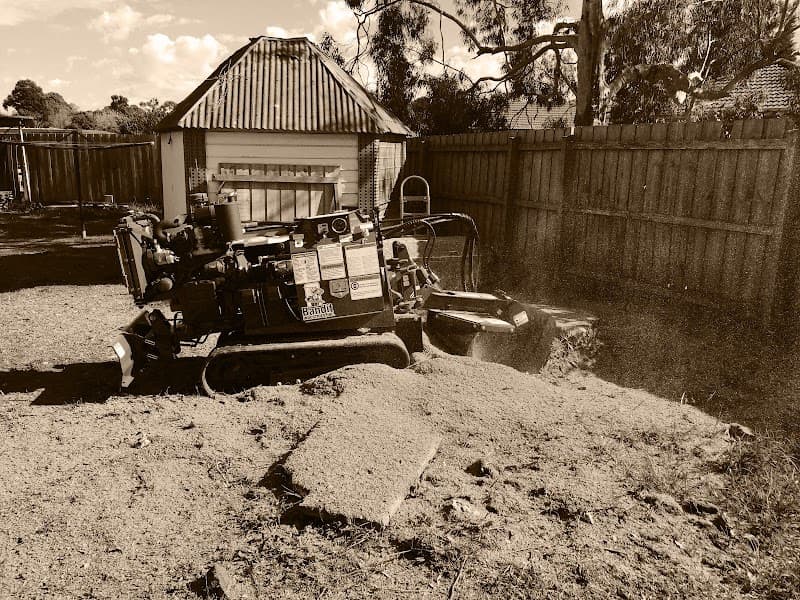 Bellarine Tree Services tree services work in Geelong
