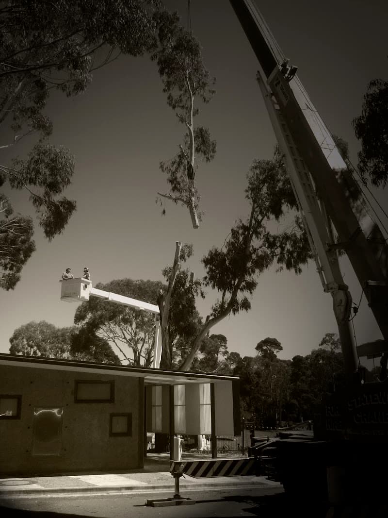 Bellarine Tree Services tree services work in Geelong