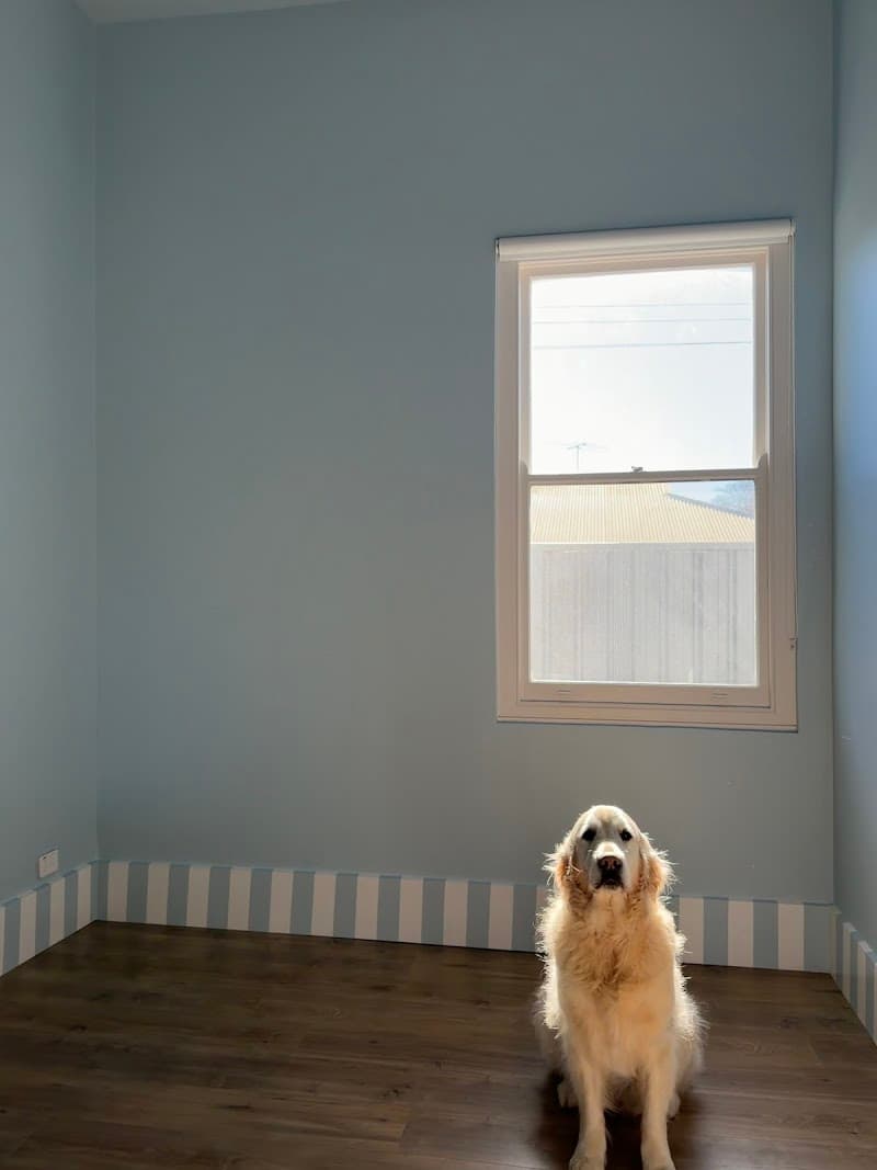 BEN Professional Painting painter work in Clearview
