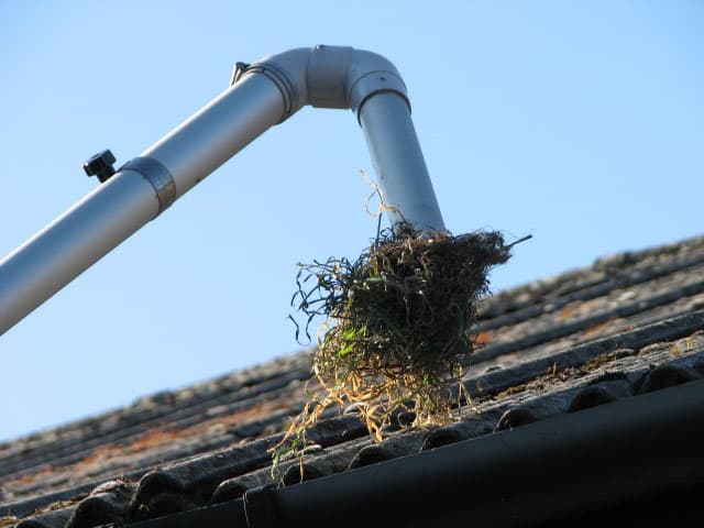 Bendigo Gutter Cleaning gutter cleaning work in Bendigo
