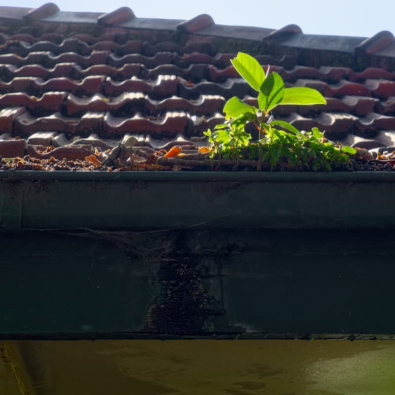 Bendigo Gutter Cleaning gutter cleaning work in Bendigo
