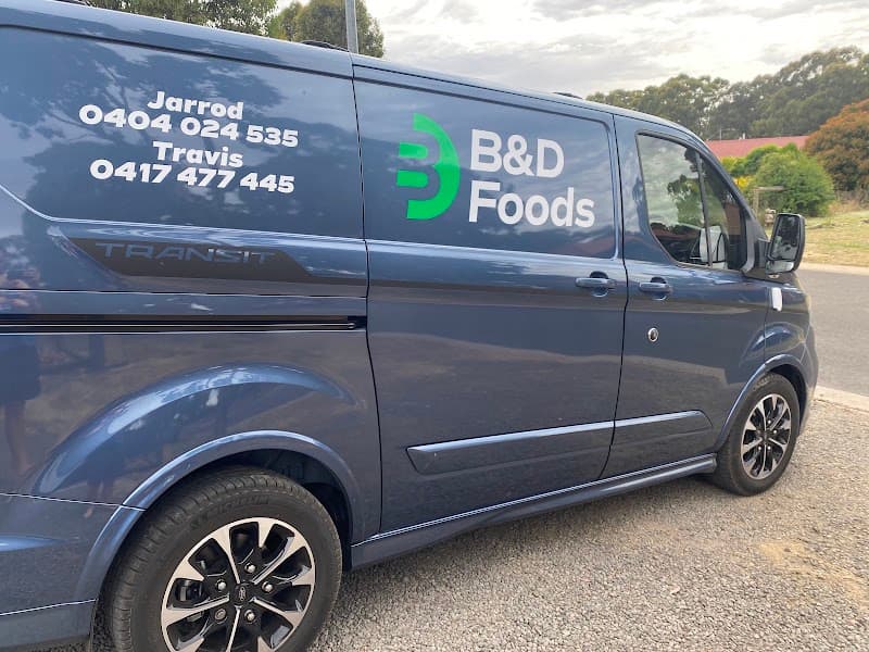 BenPro Tinting window tinting work in Maiden Gully