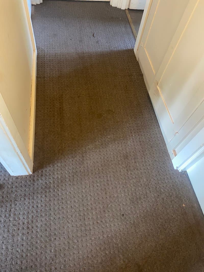 Bentley Carpet Care carpet cleaning work in Kearneys Spring