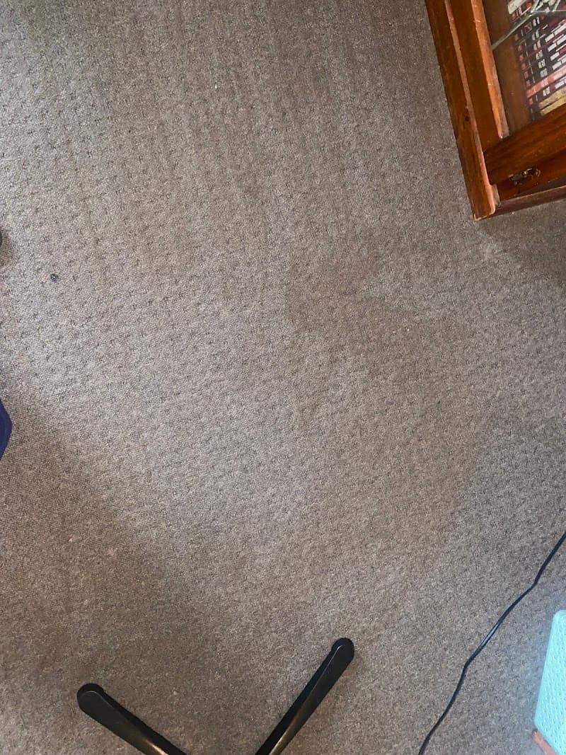 Bentley Carpet Care carpet cleaning work in Kearneys Spring