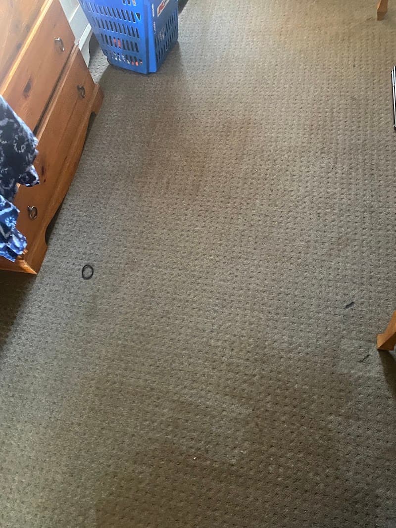 Bentley Carpet Care carpet cleaning work in Kearneys Spring