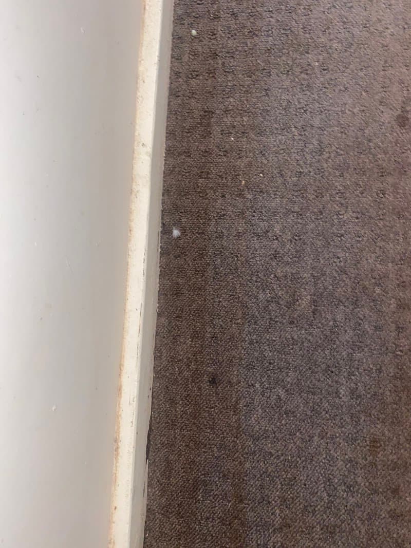 Bentley Carpet Care carpet cleaning work in Kearneys Spring